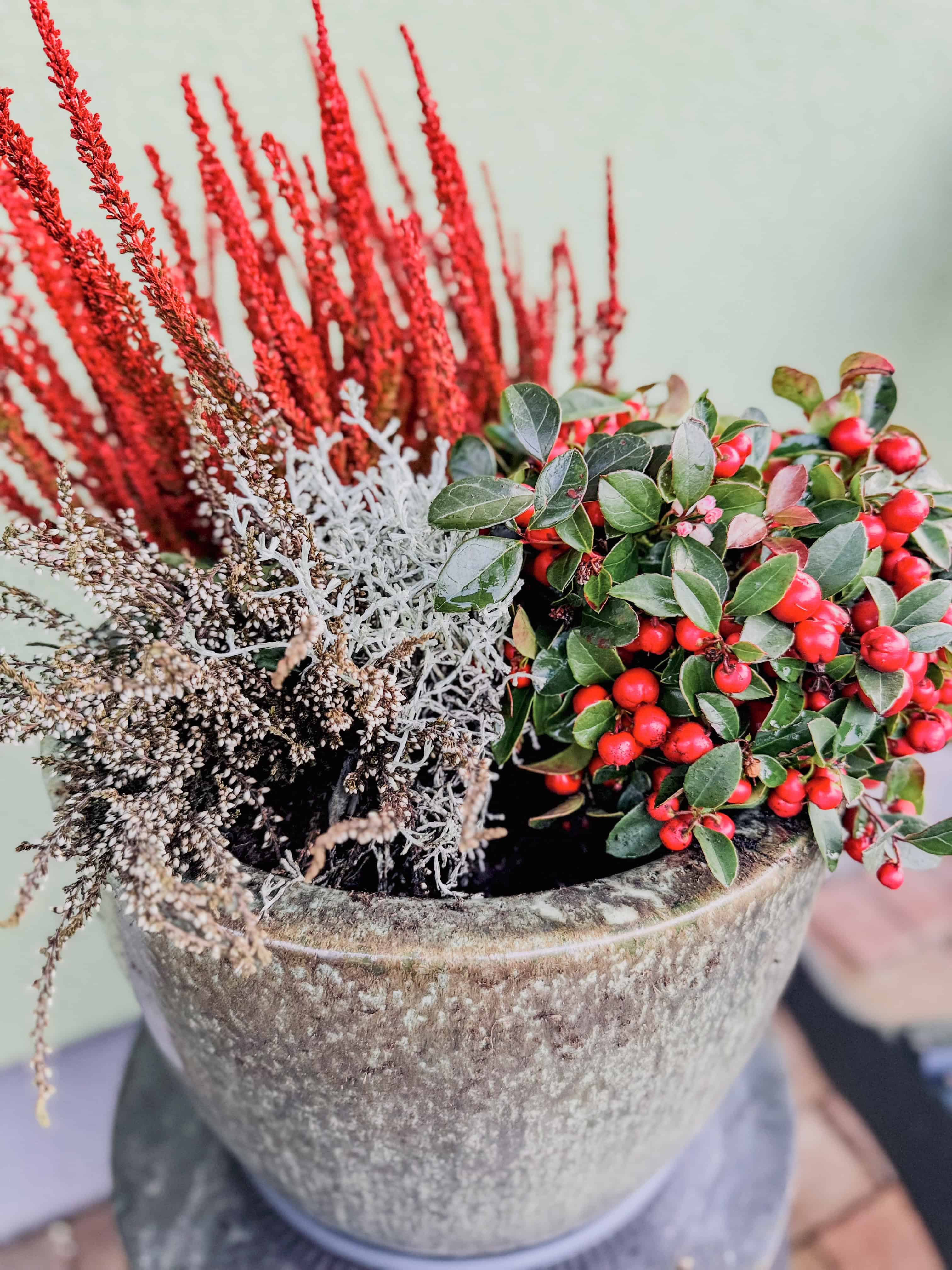 Kristen's European Vintage Christmas Home Tour