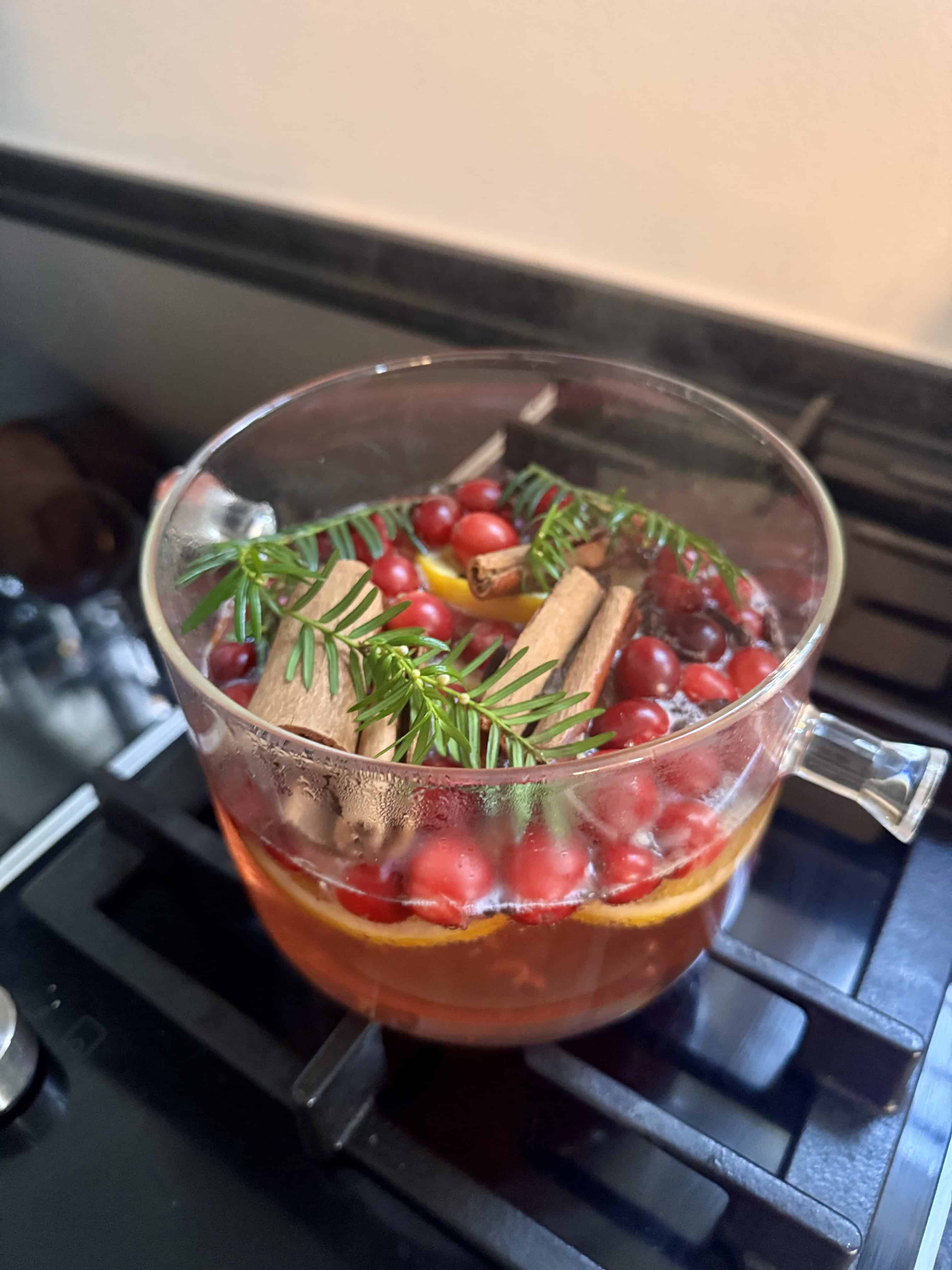 Christmas Stovetop Potpourri